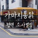 오늘통닭 소사벌점 | 평택비전동 치킨맛집 : 가마치통닭 평택소사벌점