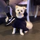 핑크짐 동탄역점 네이버블로그