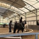 서서울승마클럽 이미지