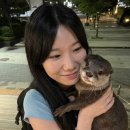 피자스쿨(인수점) | 제목을 뭐로 하지