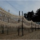 형제민박 이미지