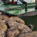 방아머리 이미지