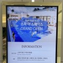 미스터 스파
