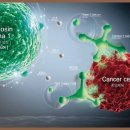 연세자연내과의원 이미지