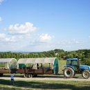 풀내음목장 이미지