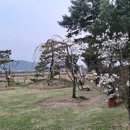 청류재커피