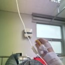 예일동물병원 | 평택 예일 산부인과 제왕절개 출산 1인실 사용 후기