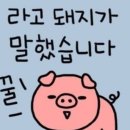 제주뒷고기식당