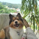 네추럴 그루밍 이미지