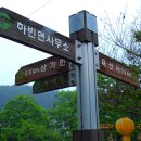 강정보 녹색길 이미지