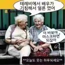 좋은아침 좋은하루/인사말 이미지 이미지