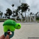 뽑기섬 | 여행]가오슝 치진구 치진섬 / 배시간표 이지패스 요금 전동바이크대여 자전거대여현지번호 ATM 선셋바 후기