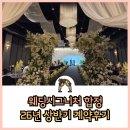 고우 합정점 | 웨딩시그니처 합정 26년 상반기 계약후기