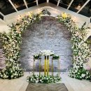 비타메인 이미지