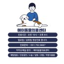 동물병원 더 메이 네이버블로그