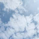 우리<b>강아지</b>???? 고향에 오니 더 <b>좋다</b>???? 오늘 막방 화이팅...