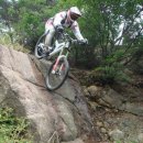 우면산3-29 이미지