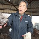 대조농장 이미지