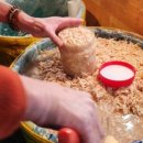 광천토굴새우젓 홍보전시관 | 전현무계획 홍성 토굴 새우젓 중앙토굴새우젓