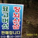 삼삼농장 이미지