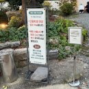 우디브룩 | 사상 | 사상 크리스마스 카페 추천 데이트하기좋은 사상 대형카페‘Woody Brook’ 우디브룩 내돈내산 후기