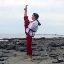 BOK 태권도 이미지