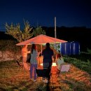 스테이상아 이미지