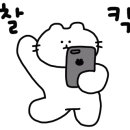 (주)갓파스시 네이버블로그