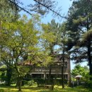 보림콜렉션 | 제주도 커피박물관 바움 Baum 로얄코펜하겐 명품 커피잔 시리즈전시