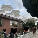 주식회사 몬스터하우스 이미지