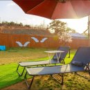 도그팰리스 이미지