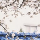 동촌로 이미지
