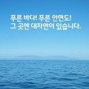 털보애견 네이버블로그