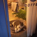 거룡6길 1, (용산동) 이미지