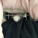 랑'S종합동물병원 | [병원] 아기 고양이 종합백신 예방접종 후기