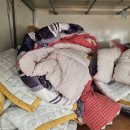 예스크린세탁협동조합 이미지