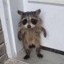 문현관앞 이미지