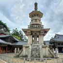 동해안자전거도로5(서) | [경주 여행] 주말 불국사 솔직 방문 후기: 눈치싸움 필수인 주차 꿀팁부터 다보탑·석가탑 포토존 생생...