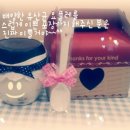 한양대탑수정태권도 이미지