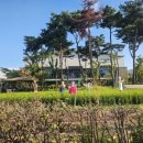 중보들B | [#테니스투어] 수원 정현중보들 테니스장 후기