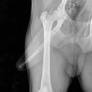 삼화 우수한 동물병원 이미지