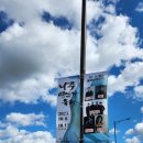 힐링정원 | 코스모스 바람타고 나주시 영산강으로 힐링~!2025 나주 영산강정원축제 후기