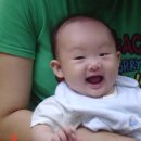 강섬 Daum카페