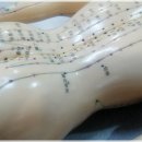 몸편안한의원 이미지