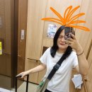 G6009 | [제주도 여행]-DAY1: 혹시 공항가는 버스에서 쫓겨나 보신 분?