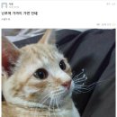 밈