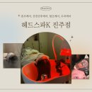 뷰티앤힐링센터 | [진주 탈모·두피관리] 초전동 '헤드스파K 뷰티앤힐링' 산후관리 두피케어 후기