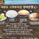 대부도고랫부리섬생태관광마을 이미지