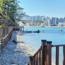 방앗간장어구이 이미지