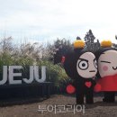 ㈜명성관광 이미지